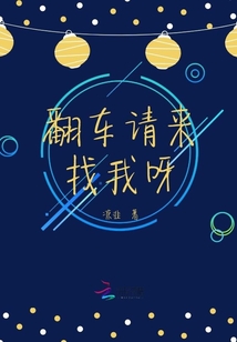 翻车请来找我呀