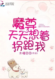 魔尊天天想著拐跑我