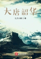 大唐韶华