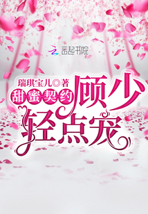 甜蜜契約：顧少，輕點寵