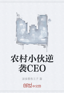農村小伙逆襲CEO