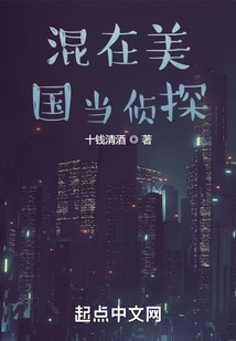 混在美國當偵探