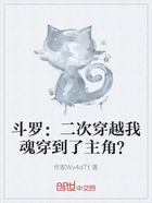 斗罗：二次穿越我魂穿到了主角？