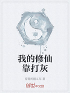 我的修仙靠打灰在线阅读