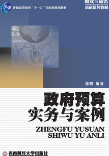 政府預算實務與案例