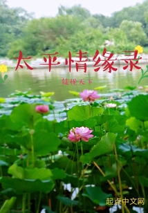 太平情缘录第一部风云初起