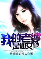 我的老婆是仙女在線閱讀