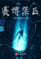 赛博禁区