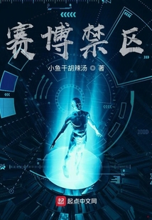 賽博禁區
