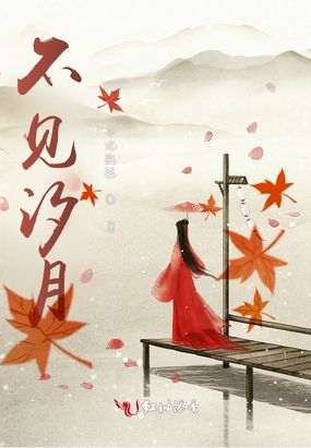 不见汐月在线阅读