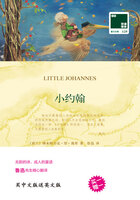 小约翰 Little Johannes（双语译林）在线阅读