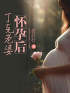 丁克老婆懷孕后在線閱讀