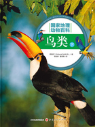 鸟类:下(国家地理动物百科)在线阅读