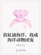 浴缸通海洋,我成海洋动物团宠在线阅读