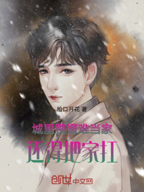 城里赘婿难当家,还得把家扛在线阅读