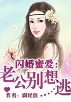 闪婚蜜爱:老公别想逃在线阅读