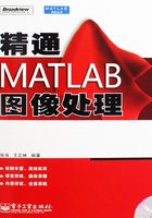 精通MATLAB图像处理