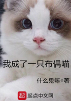 我成了一只布偶喵在线阅读