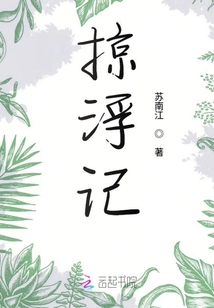 掠浮記