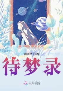 待夢錄