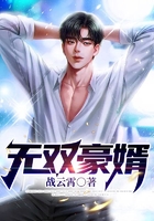 无双豪婿在线阅读