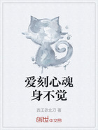 爱刻心魂身不觉在线阅读