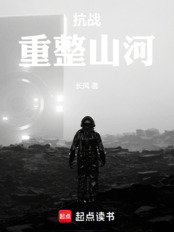 抗战：重整山河在线阅读