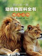 我的第一套动植物百科全书:哺乳动物在线阅读