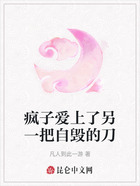 疯子爱上了另一把自毁的刀在线阅读