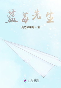 蓝莓先生