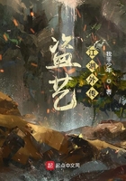 盜藝江湖外傳在線閱讀
