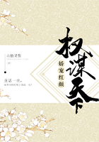 权谋天下:娇宠红颜在线阅读