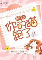 顾先生你的猫跑了