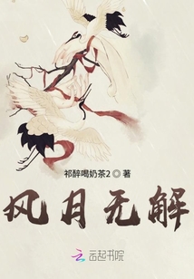 風月無解