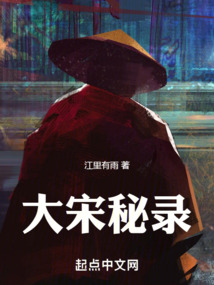 大宋秘錄