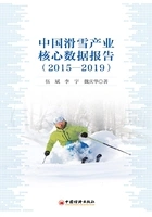 中国滑雪产业核心数据报告(2015—2019)在线阅读