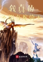我真的不想当龙骑士