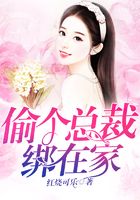 偷个总裁绑在家在线阅读