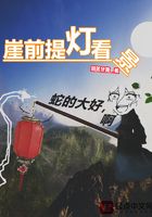 崖前提灯看景在线阅读