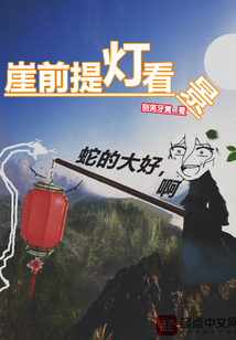 崖前提燈看景