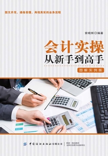 會(huì)計(jì)實(shí)操從新手到高手(圖解實(shí)例版)