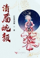 清靥婉颜在线阅读