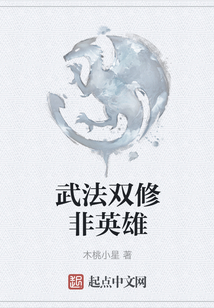 武法雙修非英雄