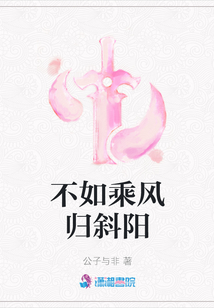 不如乘風歸斜陽