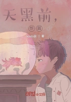 天黑前,忻篇在线阅读