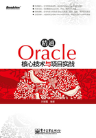 精通Oracle核心技术与项目实战