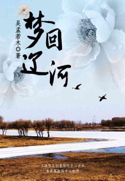 梦回辽河 封面