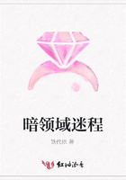 暗領域迷程在線閱讀