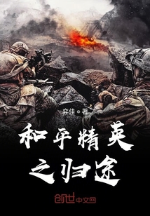 和平精英之歸途