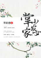 掌家小农女